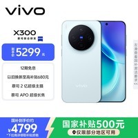 vivo X300 12GB+512GB 自在蓝 蔡司2亿超级主摄 蔡司APO超级长焦 5年持久流畅OriginOS 6 拍照 AI手机