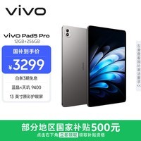 vivo Pad5 Pro 12GB+256GB 寒星灰 国家补贴 蓝晶×天玑9400 13英寸原彩护眼屏 12050mAh 平板电脑