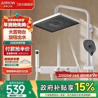 箭牌(ARROW)大顶喷旋钮置物花洒套装四功能淋浴花洒全套冷热增压淋浴花洒 月光白-四功能花洒34142ZWP