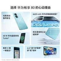 华为畅享80 256GB 曜金黑 6620mAh电池超能续航 双五星超耐摔 华为手机【赠话费券】国家补贴