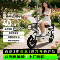 驰小虎电动自行车 吉祥虎新国标电动车电动自行车48V12Ah铅酸电池长续航电瓶车成人代步车电车 绿色