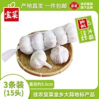 宝菜大蒜25年紫白皮干蒜产地红皮蒜批发大果新鲜大蒜生鲜蔬菜 3条装（5头/条 单果约5.0cm）净重600g+ 山东金乡