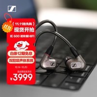 森海塞尔（Sennheiser）IE600 有线耳机 高保真HiFi音乐耳机 入耳式音乐耳机 金属色 双11推荐