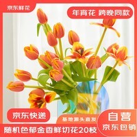 京东鲜花跨晚同款-郁金香鲜花20枝盲盒款(品种随机)源头直发