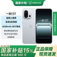 一加 13T 国家补贴 性能超强小直屏 骁龙 8 至尊版 冰川电池 AI 5G游戏oppo手机 晨雾灰 12GB+256GB 官方标配【全国联保】