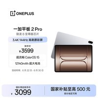 一加平板 2 Pro【国家补贴】13.2英寸平板电脑骁龙8至尊版芯片 8GB+256GB 冰川银 游戏办公学生