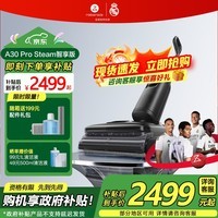 石头（roborock）A30 Pro Steam 2.0家用洗地机智能吸拖洗一体机扫地无线手持吸尘器平躺洗地机 A30 Pro Steam智享版