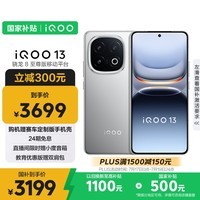 iQOO 13【国家补贴】12GB+256GB 纳多灰 骁龙8至尊版 2K护眼屏 120W快充长续航 5G电竞手机