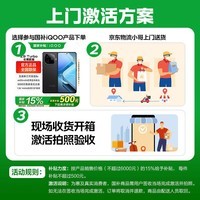 iQOO 13 国家补贴 骁龙8至尊版旗舰机自研电竞芯片5G电竞手机游戏拍照娱乐vivo iqoo13 传奇版（BMW）项目定制 16GB 512GB 官方标配版