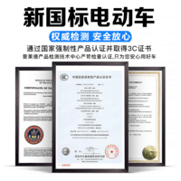 普莱德新国标折叠电动自行车超长续航轻骑电动车铝合金代驾车锂电池助力男女成人电瓶车代步电单车 标准版-汽车级电芯15A-助力200KM