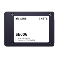 长江存储 YANGTZE MEMORY 480G 国产企业级固态硬盘 2.5 寸 SATA接口 适应国产化信创服务器 SE006系列
