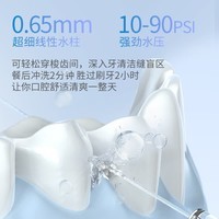 博皓（prooral）大水箱版电动冲牙器便携式洗牙器家用牙齿清洁器水牙线冲洗器口腔清理器剔牙神器洁牙器正畸冲牙器 米白色| 2支喷嘴