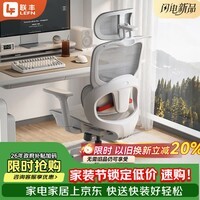 联丰（LIANFENG）E-100S人体工学电脑椅子家用老板椅电竞椅转椅座椅撑腰办公椅