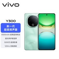 vivo Y300 8GB+256GB 青松 国家补贴 新一代超级扬声器 6500mAh超薄蓝海电池 超抗摔护眼直屏 AI手机