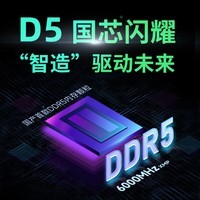金百达（KINGBANK）32GB(16GBX2)套装 DDR5 6000 台式机内存条 国产DDR5颗粒 银爵 C36