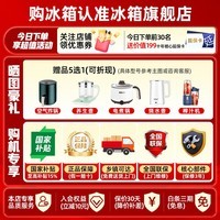 容声526升级款 80cm宽战神573升法式多门电冰箱双净双系统大容量超薄零嵌入式家用一级能效国家补贴灰 BCD-573N40FQLAD