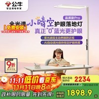 公牛（BULL）小晴空护眼大路灯落地灯紫光激发全光谱儿童学习台灯品质款Pro
