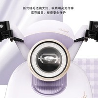 爱玛（AIMA）【北京专享】罗兰Pro新国标长续航电瓶车成人男女代步豪华电动车电动自行车  到店选色提车