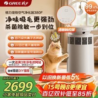 格力（GREE）宠物空气净化器吸猫毛除过敏源猫猫搭子猫毛杀菌消毒除异味宠爱380F