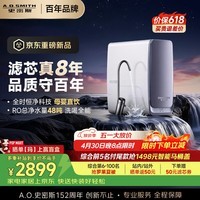 史密斯（A.O.SMITH）佳尼特【26年新品】蓝鲸1000G家用净水器厨房专用台下用净水机直饮一体机8年RO膜 CR2500AE3