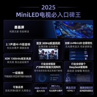 海信电视小墨E5Q 75英寸 超画质U+Mini LED 墨晶屏 300Hz高刷 DeepSeek AI智能 75E5Q 国家补贴20% 75英寸