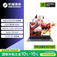 机械革命【国家补贴】蛟龙16Pro 2025 16英寸游戏电竞笔记本电脑(R9-8945HX 16G 1T RTX5060 300HZ 灰)
