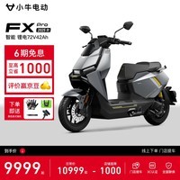 小牛FX Pro 电动摩托车锂电池 智能超长续航高速通勤电瓶电摩