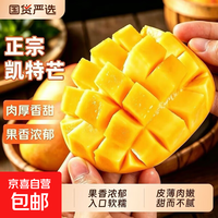 【当季时令】攀枝花凯特大芒果现摘青皮芒新鲜应季水果现货批发 含箱5斤特大果[单果600g起】净重4.5斤 正宗凯特芒【早上摘加急发】产地直发