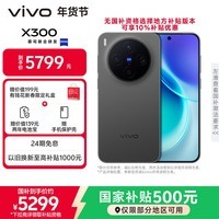 vivo X300 16GB+1TB 纯粹黑 蔡司2亿超级主摄 蔡司APO超级长焦 5年持久流畅OriginOS 6 拍照 AI手机