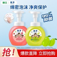 狮王（Lion）趣净泡沫洗手液99.9%抑菌保湿儿童成人通用  青芒香至26年7+草莓香至26年9共2瓶