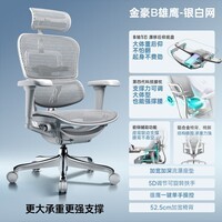 Ergonor保友金豪b2/雄鹰 人体工学椅 电脑椅 电竞椅办公椅子可躺老板椅 【金豪b雄鹰】银白网