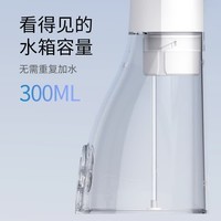 博皓(prooral)电动洗牙器冲牙器家用冲洗器牙齿清洁器水牙线口腔清洗器牙垢去除工具牙周炎喷嘴正畸呵护生日礼物 象牙白【300ml水箱 智简款】