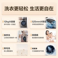 海尔12公斤滚筒洗衣机全自动大容量家用洗衣机大筒径超薄机身一级能效 12公斤洗脱一体:525大筒径+1.12高洗净比