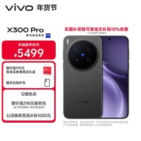 vivo X300 Pro  16GB+512GB 纯粹黑 【地方补贴专享版】蔡司2亿APO超级长焦 蓝图影像双芯 AI手机