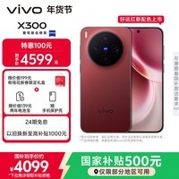 vivo X300 16GB+256GB 好运红 蔡司2亿超级主摄 蔡司APO超级长焦 5年持久流畅OriginOS 6 拍照 AI手机
