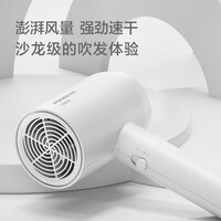 飞科博锐电吹风机家用大功率吹风筒恒温护发小巧便捷三档冷热风电吹风 简白PH1621