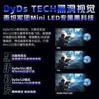 泰坦军团24.5英寸 MiniLED 2K 250Hz DyDs技术 HDR1000 升降旋转 软件调节 专业电竞显示器 P245MS(增强版)