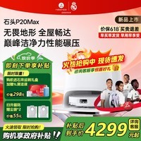 石头（roborock）扫地机器人P20 Max扫拖洗烘一体机自动集尘热水洗拖布烘干擦地拖地  P20 Max