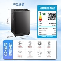 小天鹅（LittleSwan）波轮洗衣机全自动 家用大容量 内桶免清洗 节能宿舍租房超净洗 全桶换气 除菌螨 以旧换新 波轮 12kg 1809T