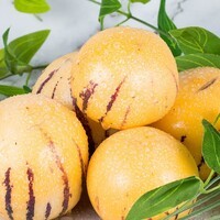 云南人参果新鲜应季水果七彩黄肉圆果娃娃果【包装随机发货】 单果50g-70g 3斤(净重2.5斤)