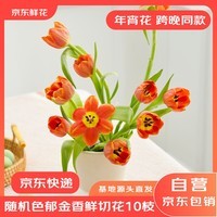 京东鲜花跨晚同款-郁金香鲜花10枝盲盒款（品种随机）源头直发