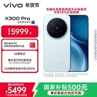 vivo X300 Pro 16GB+512GB 自在蓝 蔡司2亿APO超级长焦 蓝图影像双芯 5年持久流畅OriginOS 6 AI手机