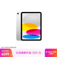 Apple/苹果iPad 11英寸 A16芯片2025年款 平板电脑 (256GB eSIM版/学习办公娱乐)银色