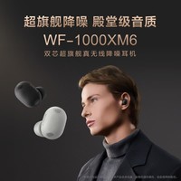 索尼(SONY)WF-1000XM6 真无线蓝牙耳机降噪豆6 运动防水网课游戏 1000XM5升级版 礼物送男女友学生孩子 黑色