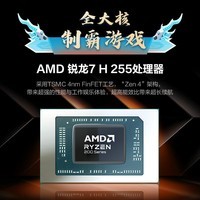 机械革命【国家补贴】蛟龙16Pro 潮玩版 16英寸游戏电竞笔记本电脑(R7 H255 16G 512G RTX5050 180Hz灰)
