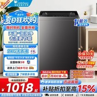 小天鹅(LittleSwan)波轮洗衣机全自动深层除螨洗免清洗不脏桶12公斤大容量全家衣物一桶洗 一级能效 波轮 12kg TB12-1809T 以旧换新