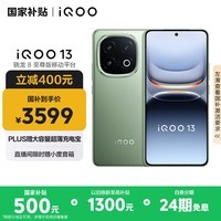 iQOO 13【国家补贴】12GB+512GB 曼岛 骁龙8至尊版 2K护眼屏 120W快充长续航 5G电竞手机