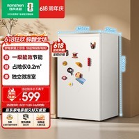容声95L单门小冰箱家用一级能效小户型节能超薄保鲜出租房宿舍迷你以旧换新BC-95D12