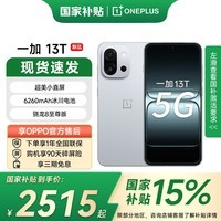 一加  13T 【国家补贴】 性能超强小直屏 骁龙 8 至尊版 冰川电池 AI 5G游戏手机 晨雾灰 12GB+256GB 官方标配