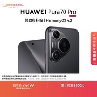 HUAWEI Pura 70 Pro 羽砂黑 12GB+512GB 超高速风驰闪拍【鸿蒙系统4.2 适配主流APP】